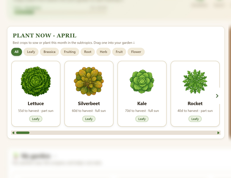 Plant Now shelf showing what's in season this month