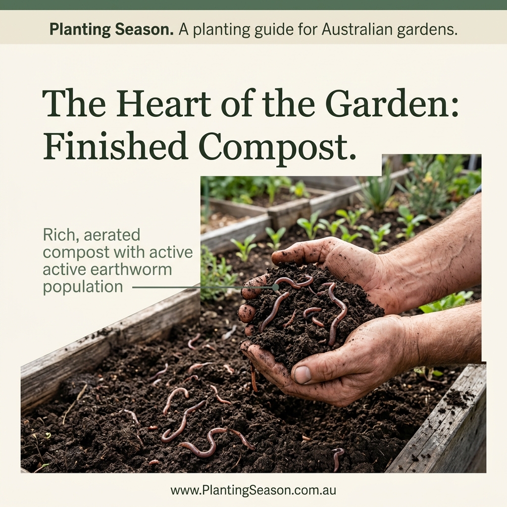 Hands holding finished dark crumbly compost with earthworms