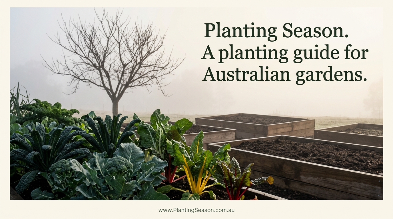 June gardening across Australia